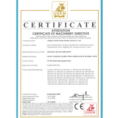CE认证证书—FY(HY)系列液下泵
